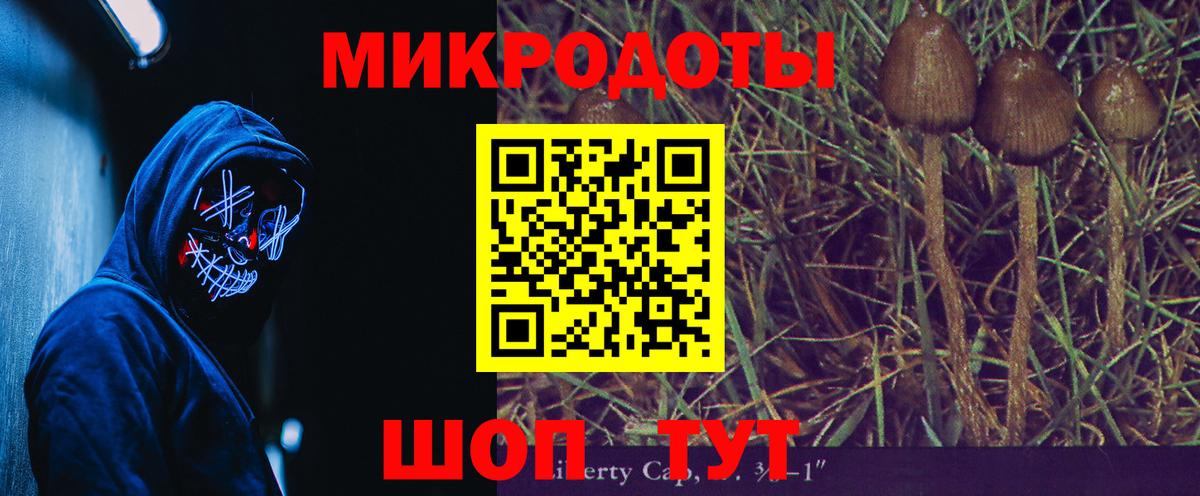 Галлюциногенные грибы Magic Shrooms  Вход с VPN  Ефремов  Галлюциногенные грибы прущие грибы 