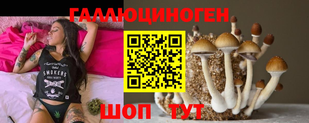 Галлюциногенные грибы мухоморы Ефремов